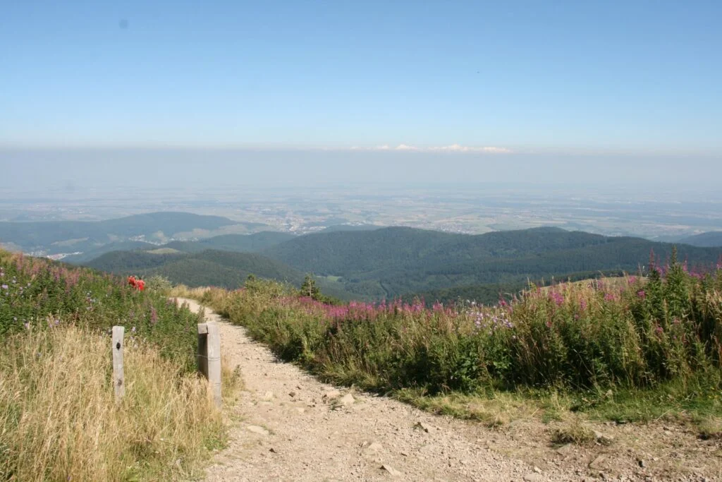 Le Grand Ballon, le plus haut sommet du massif des Vosges