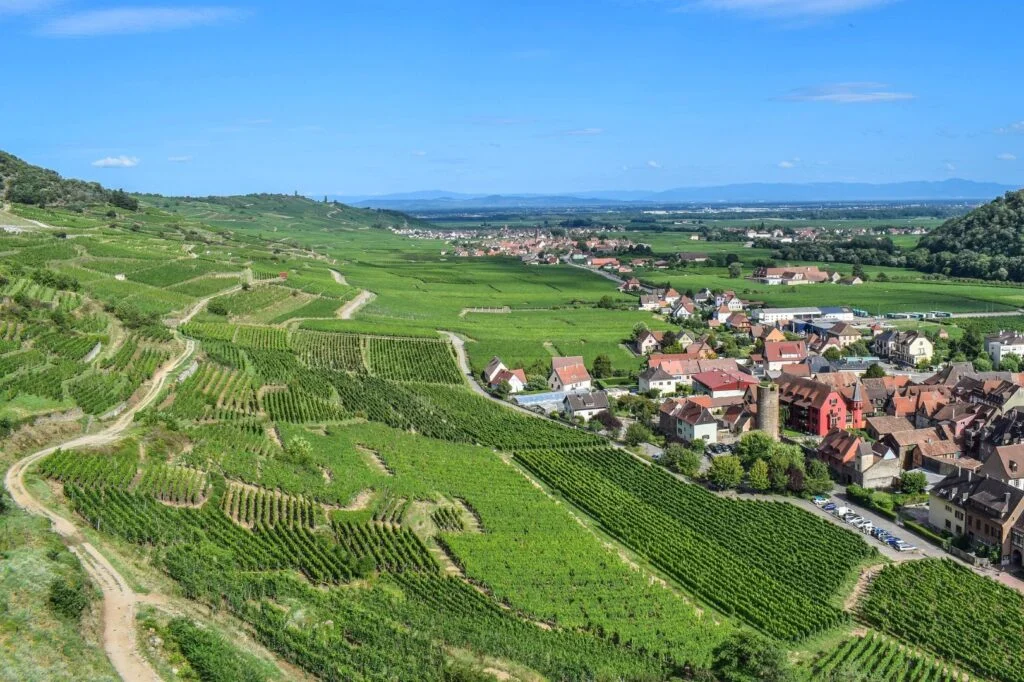 La route des Vins d'Alsace avec une jolie vue sur le village de Kaysersberg