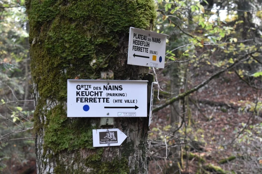 Sentier pédestre en Alsace