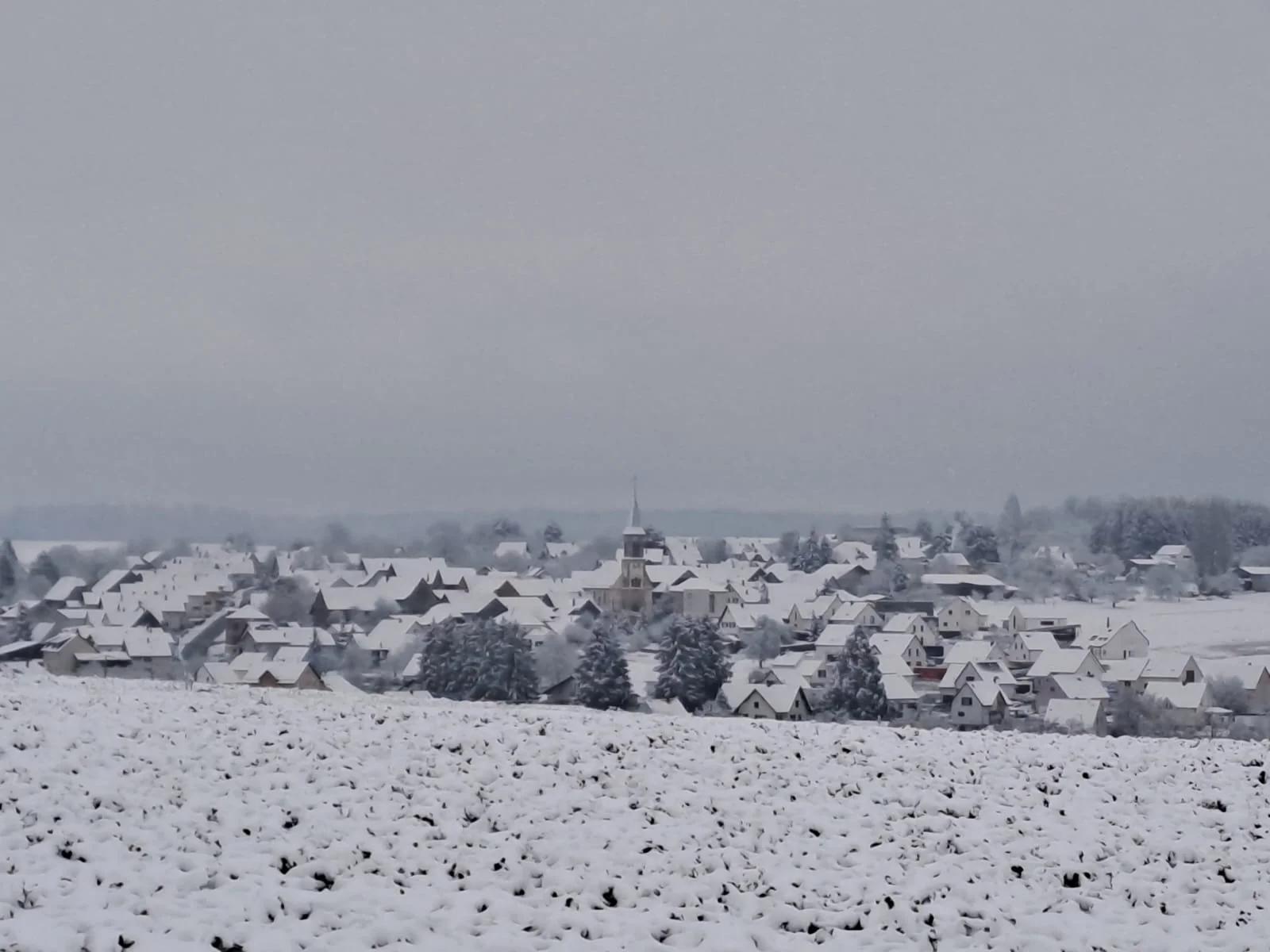 paysage enneigé du Sundgau